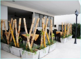 Laounge area at Colaye Hotel in San Jose