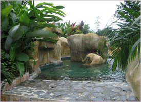 Baldí The Baldi Hot Springs