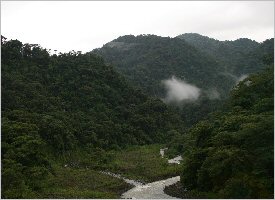 Breathtaking views of the natural surroundings