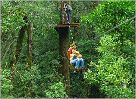 Canopy Sarapiquí Glide in the forest on a Zipline