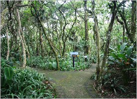 The Lankester garden trails