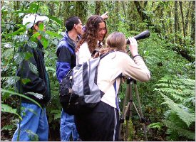 Spotting wildlife is always a thrill in Costa Rica