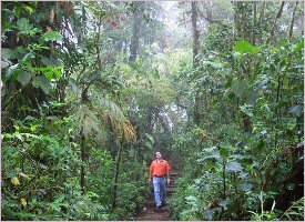 Trail Walking through the Monteverde forest