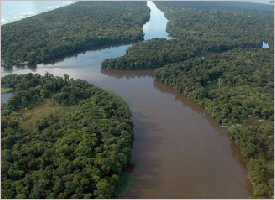 Tortuguero National Park The Tortuguero canals are a wonderful place to see flora and fauna in a natural form